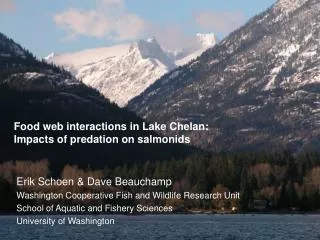Food web interactions in Lake Chelan: Impacts of predation on salmonids