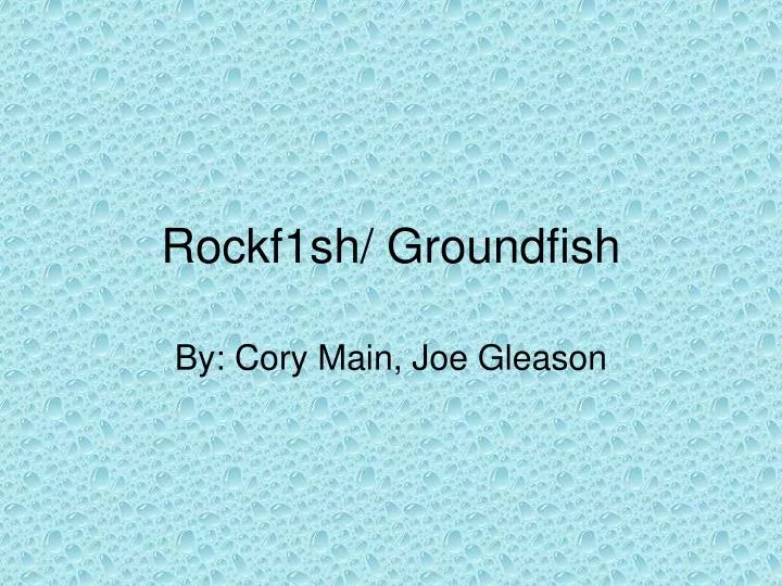 rockf1sh groundfish