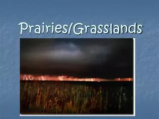 Prairies/Grasslands