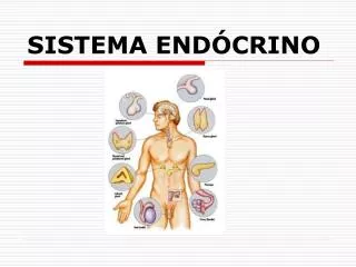 sistema end crino