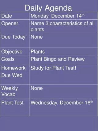 daily agenda