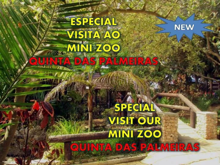 special visit our mini zoo quinta das palmeiras