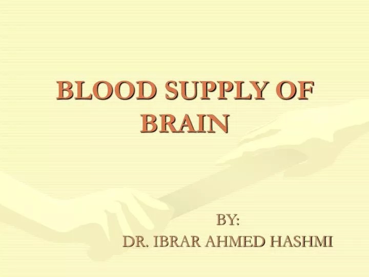 blood supply of brain