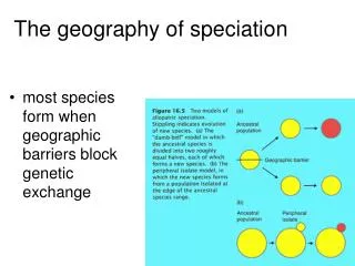 The geography of speciation