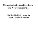 Computational Neural Modeling and Neuroengineering - slide 1