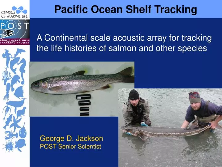 pacific ocean shelf tracking