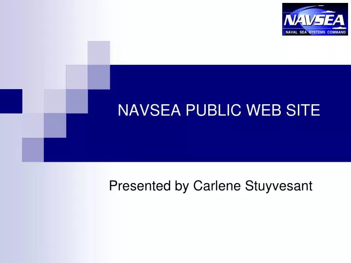 navsea public web site