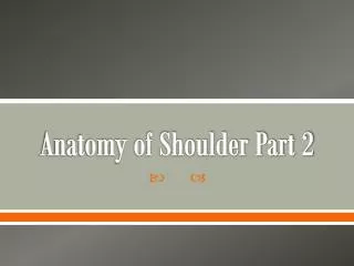 anatomy of shoulder part 2