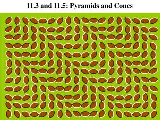 11.3 and 11.5: Pyramids and Cones