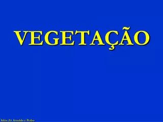 vegeta o