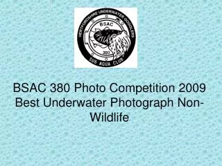 BSAC 380 Photo Competition 2009 Best Underwater Photograph Non-Wildlife