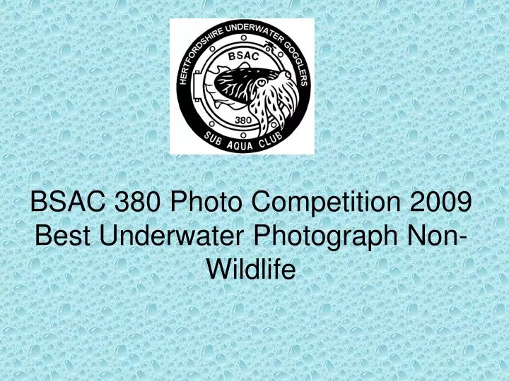 bsac 380 photo competition 2009 best underwater photograph non wildlife