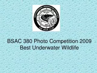 BSAC 380 Photo Competition 2009 Best Underwater Wildlife