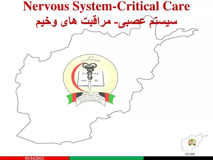 nervous system critical care