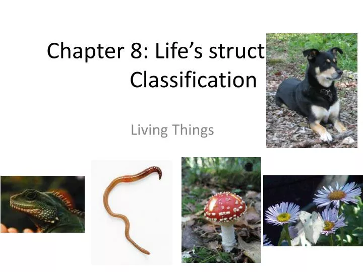 chapter 8 life s structure and classification