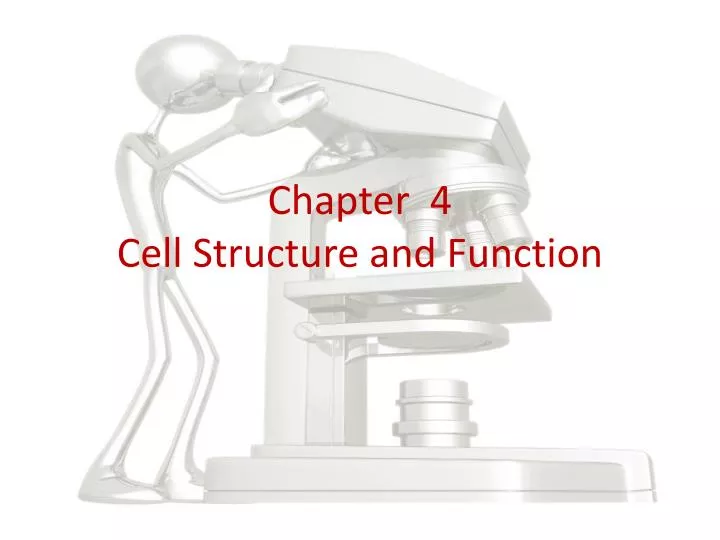chapter 4 cell structure and function