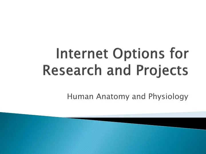 internet options for research and projects