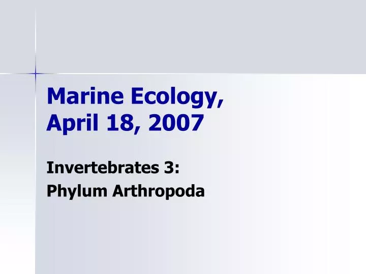 marine ecology april 18 2007