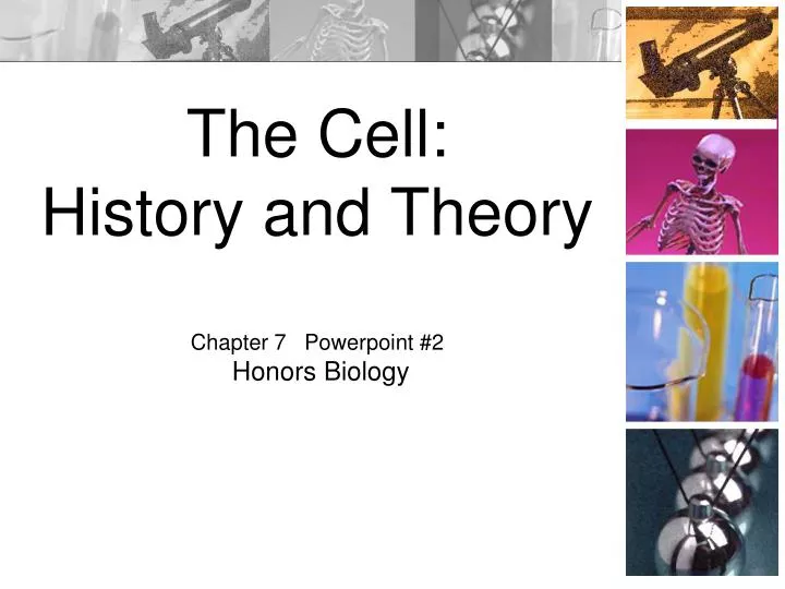 the cell history and theory chapter 7 powerpoint 2 honors biology