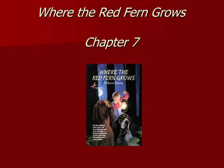 where the red fern grows chapter 7