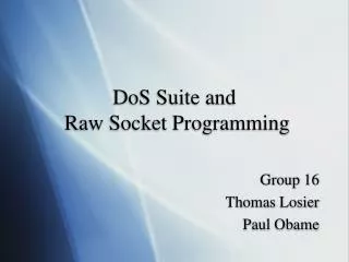 DoS Suite and Raw Socket Programming