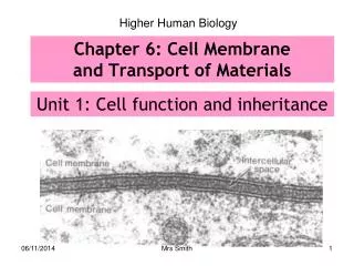 Chapter 6: Cell Membrane and Transport of Materials