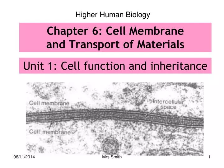 chapter 6 cell membrane and transport of materials