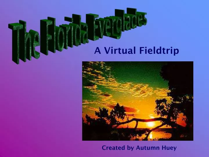 a virtual fieldtrip
