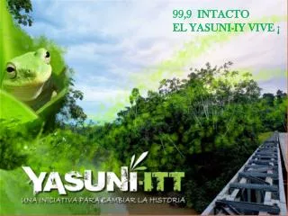 yasuni