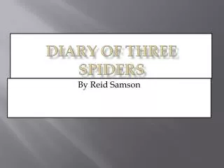 Diary of Three Spiders