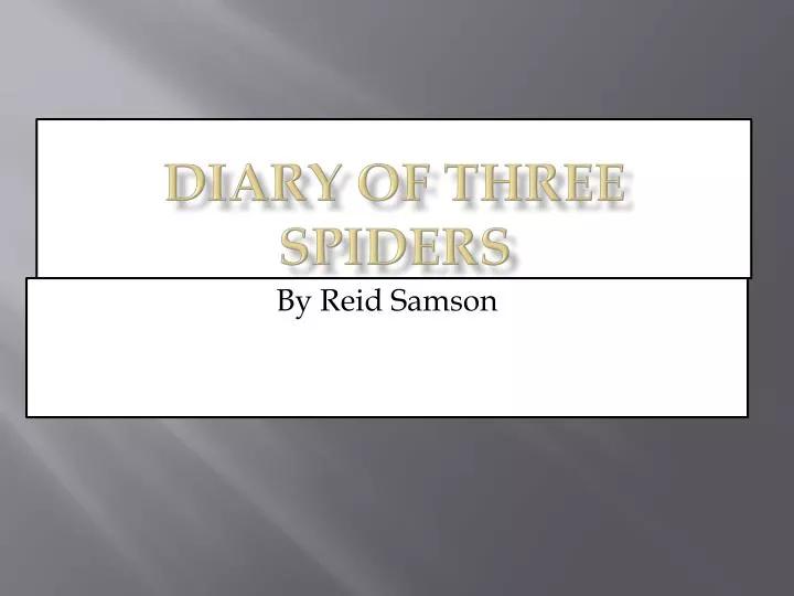 diary of three spiders