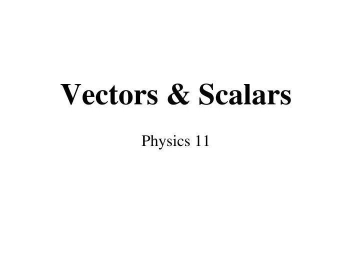 vectors scalars physics 11