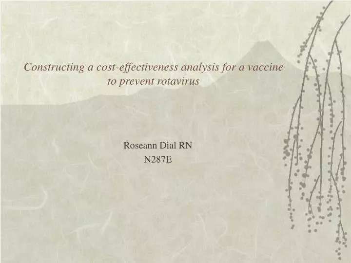 constructing a cost effectiveness analysis for a vaccine to prevent rotavirus