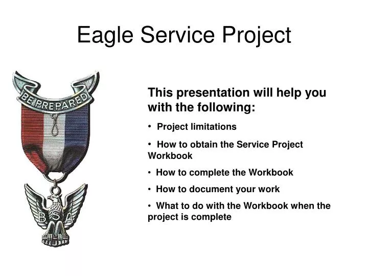 eagle service project