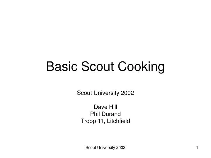 basic scout cooking