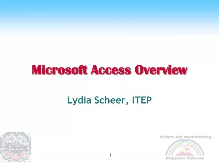 microsoft access overview