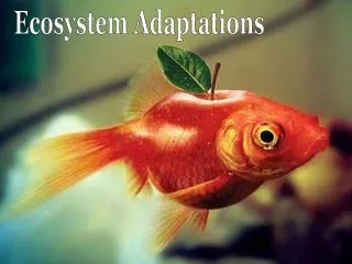 Ecosystem Adaptations