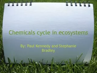 Chemicals cycle in ecosystems