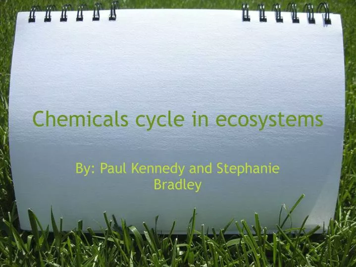 chemicals cycle in ecosystems