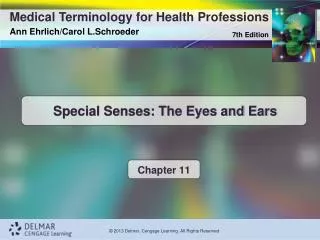 Special Senses: The Eyes and Ears