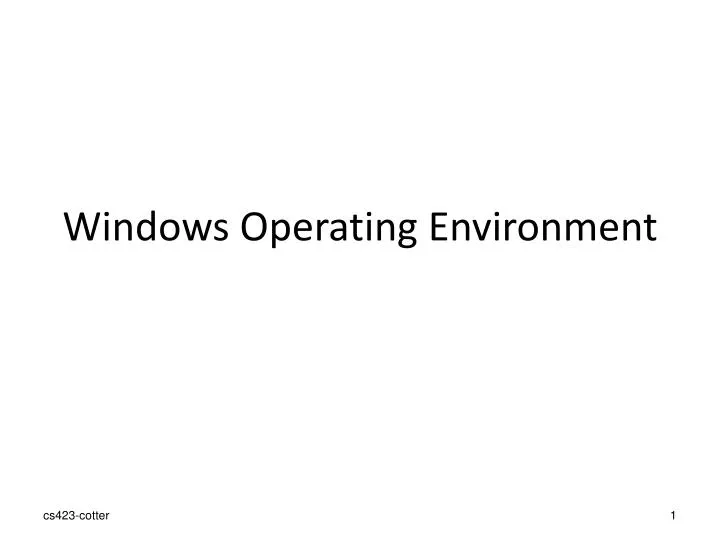 windows operating environment