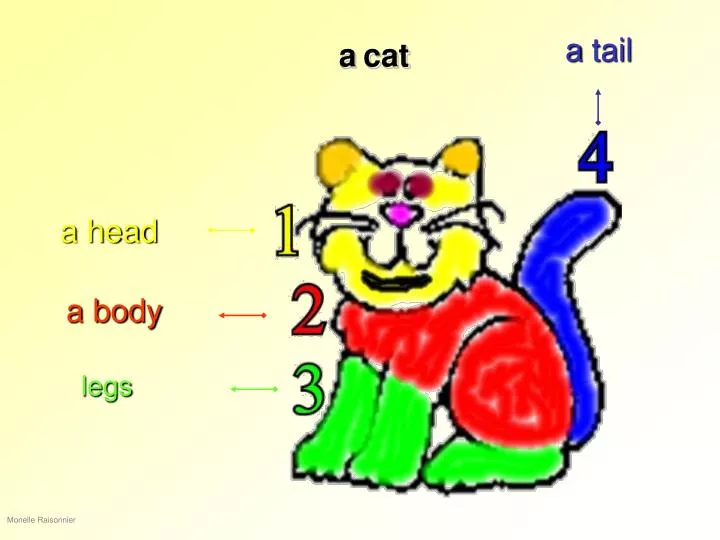 presentation about cat