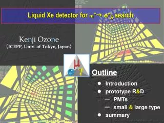 Liquid Xe detector for m + g ? + g search