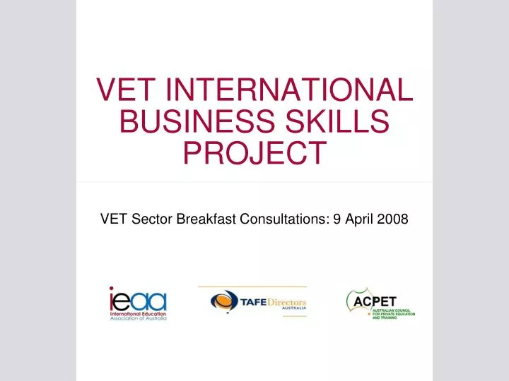 vet international business skills project
