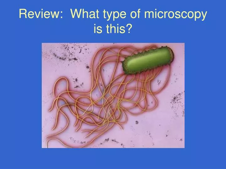 review what type of microscopy is this