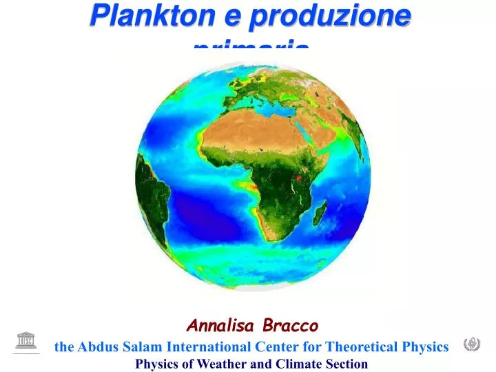 plankton e produzione primaria