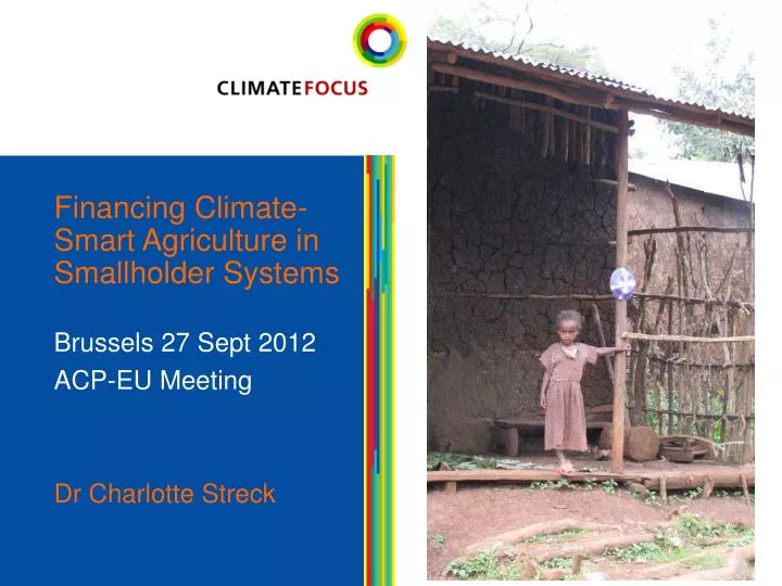 financing climate smart agriculture in smallholder systems