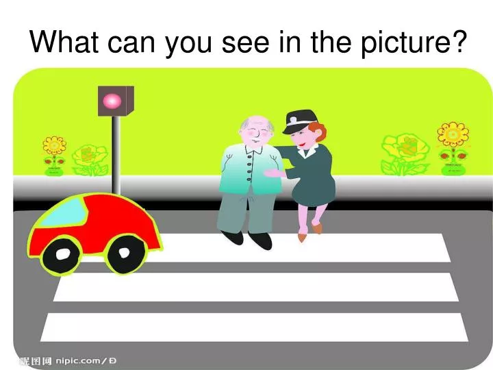 what can you see in the picture