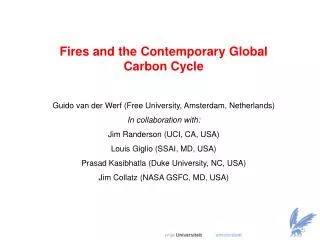 Fires and the Contemporary Global Carbon Cycle