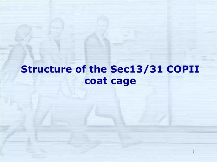 structure of the sec13 31 copii coat cage